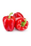 red capsicum