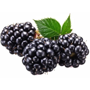 organic blackberry (1)