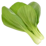 organic bok choy removebg preview