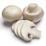 organic button mushroom