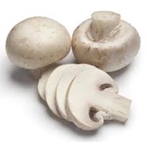 organic button mushroom