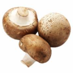 organic crimini mushroom
