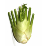 organic fennel