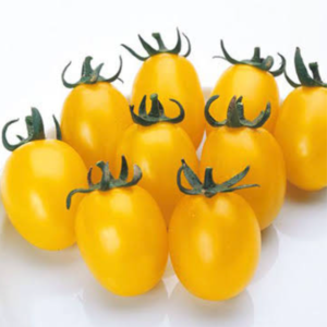organic golden cherry tomatoes
