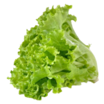 organic green butterhead lettuce removebg preview