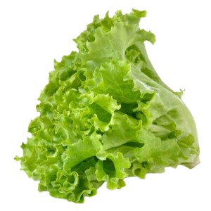 organic green butterhead lettuce removebg preview
