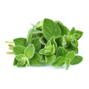 organic marjoram