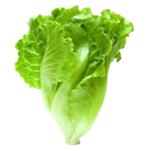 organic romaine lettuce removebg preview
