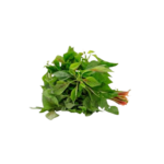 organic terere removebg preview