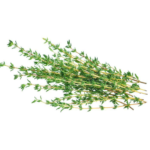 organic thyme