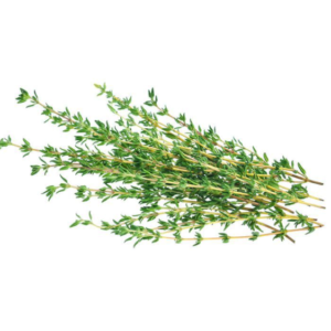 organic thyme
