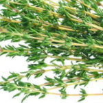 organic thyme