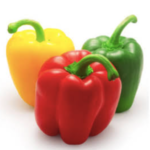 organic trio capsicum