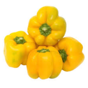organic yellow capsicum 6eworbx