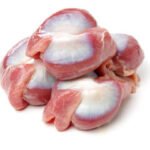 gizzard