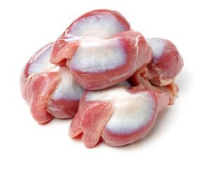 gizzard