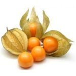 goose berries