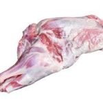 lamb shoulder