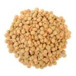 lentil