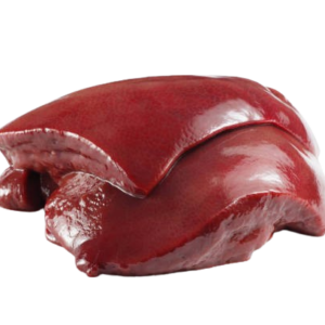 liver removebg preview (1)