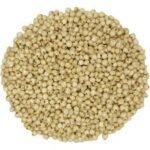 pearl millet