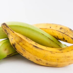plantain or green banana (musa x paradisiaca) isolated in white background