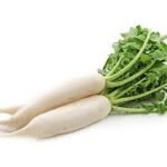 radish