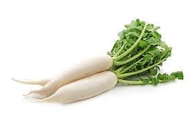 radish
