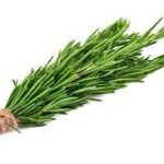 rosemary