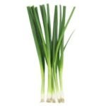 white salad onions
